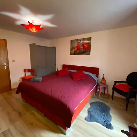 Gaestehaus Schmitt Penzion *